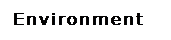 Tekstvak: Environment